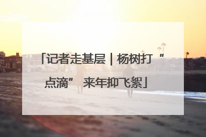 记者走基层｜杨树打“点滴” 来年抑飞絮