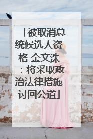 被取消总统候选人资格 金文洙：将采取政治法律措施讨回公道