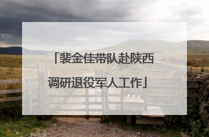 裴金佳带队赴陕西调研退役军人工作