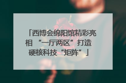 西博会绵阳馆精彩亮相 “一厅两区”打造硬核科技“矩阵”