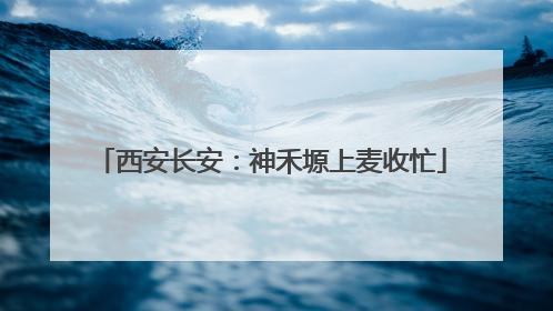 西安长安：神禾塬上麦收忙
