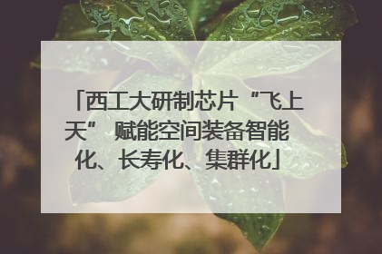 西工大研制芯片“飞上天” 赋能空间装备智能化、长寿化、集群化