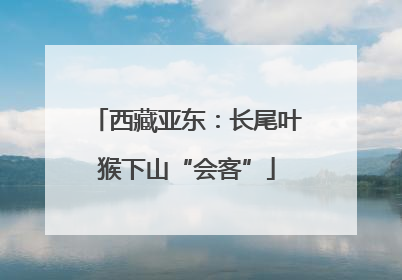 西藏亚东：长尾叶猴下山“会客”