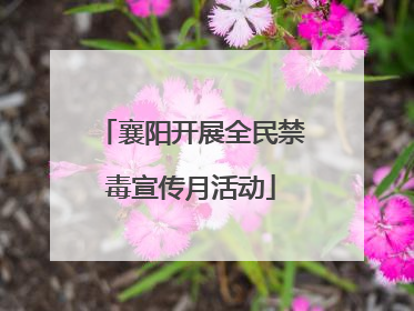 襄阳开展全民禁毒宣传月活动
