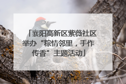 襄阳高新区紫薇社区举办“粽情邻里，手作传香”主题活动