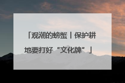 观潮的螃蟹丨保护耕地要打好“文化牌”