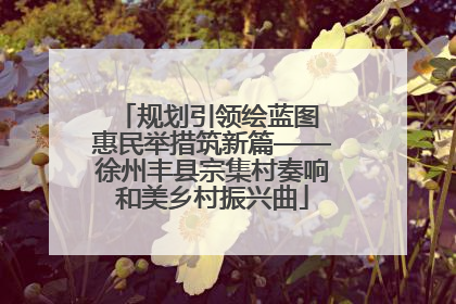 规划引领绘蓝图 惠民举措筑新篇——徐州丰县宗集村奏响和美乡村振兴曲