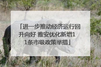 进一步推动经济运行回升向好 雅安优化新增11条市级政策举措