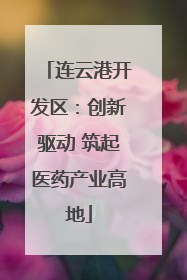 连云港开发区：创新驱动 筑起医药产业高地
