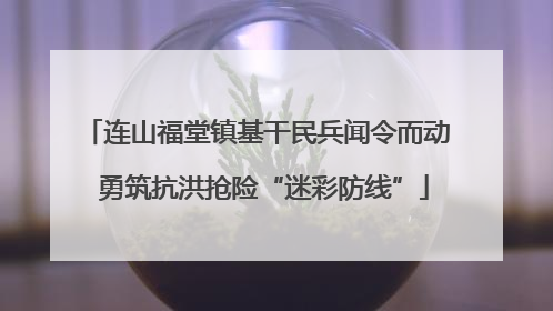 连山福堂镇基干民兵闻令而动  勇筑抗洪抢险“迷彩防线”