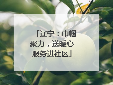 辽宁：巾帼聚力，送暖心服务进社区