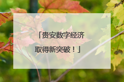 贵安数字经济取得新突破！