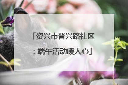 资兴市晋兴路社区：端午活动暖人心
