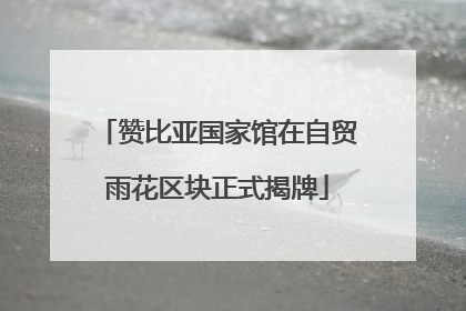 赞比亚国家馆在自贸雨花区块正式揭牌