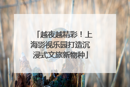 越夜越精彩！上海影视乐园打造沉浸式文旅新物种