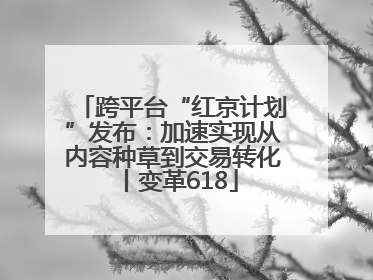 跨平台“红京计划”发布：加速实现从内容种草到交易转化丨变革618