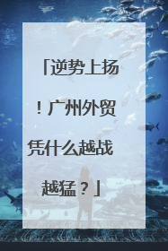 逆势上扬！广州外贸凭什么越战越猛？