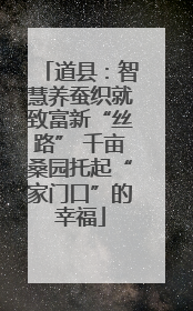 道县：智慧养蚕织就致富新“丝路” 千亩桑园托起“家门口”的幸福