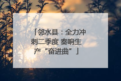 邻水县：全力冲刺二季度 奏响生产“奋进曲”