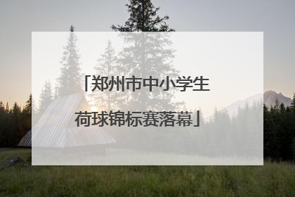 郑州市中小学生荷球锦标赛落幕
