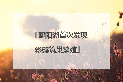 鄱阳湖首次发现彩鹮筑巢繁殖