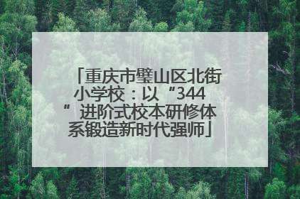 重庆市璧山区北街小学校：以“344”进阶式校本研修体系锻造新时代强师
