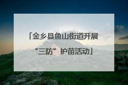 金乡县鱼山街道开展“三防”护苗活动