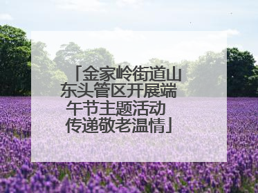 金家岭街道山东头管区开展端午节主题活动 传递敬老温情