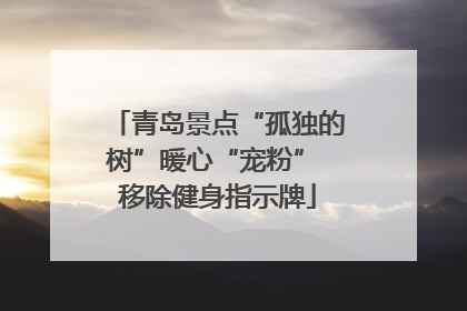 青岛景点“孤独的树”暖心“宠粉” 移除健身指示牌