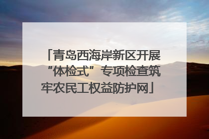 青岛西海岸新区开展“体检式”专项检查筑牢农民工权益防护网