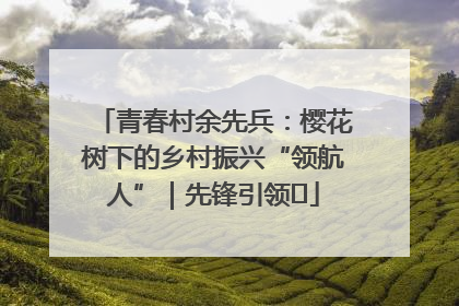 青春村余先兵：樱花树下的乡村振兴“领航人”｜先锋引领⑪