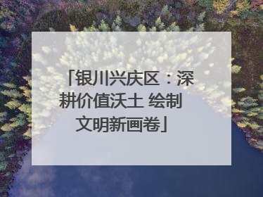 银川兴庆区：深耕价值沃土 绘制文明新画卷