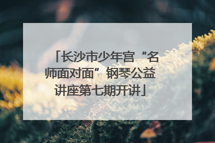 长沙市少年宫“名师面对面”钢琴公益讲座第七期开讲