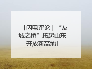 闪电评论｜“友城之桥”托起山东开放新高地