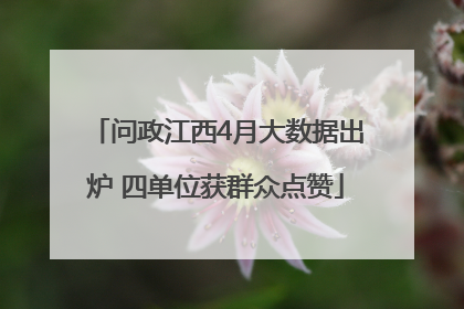 问政江西4月大数据出炉 四单位获群众点赞