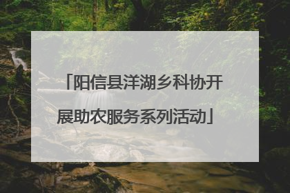 阳信县洋湖乡科协开展助农服务系列活动