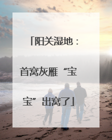阳关湿地：首窝灰雁“宝宝”出窝了
