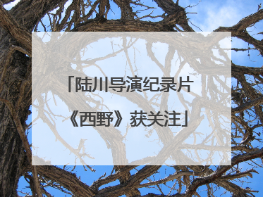 陆川导演纪录片《西野》获关注