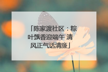 陈家渡社区：粽叶飘香迎端午 清风正气话清廉