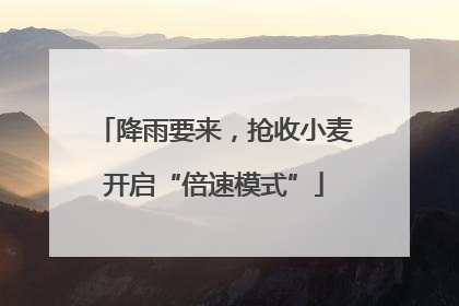 降雨要来，抢收小麦开启“倍速模式”