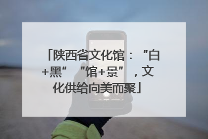 陕西省文化馆：“白+黑”“馆+景”，文化供给向美而聚