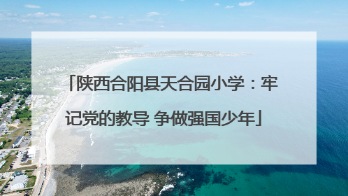 陕西合阳县天合园小学：牢记党的教导 争做强国少年