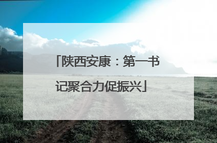 陕西安康：第一书记聚合力促振兴