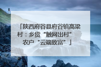 陕西府谷县府谷镇高梁村：乡货“触网出村” 农户“云端致富”