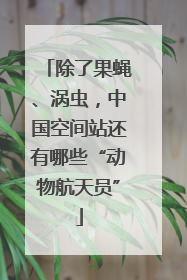 除了果蝇、涡虫，中国空间站还有哪些“动物航天员”
