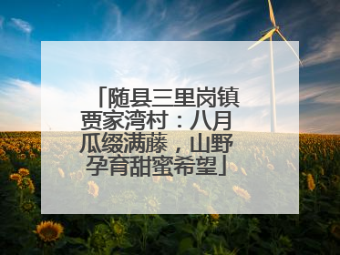 随县三里岗镇贾家湾村：八月瓜缀满藤，山野孕育甜蜜希望