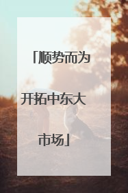 顺势而为开拓中东大市场