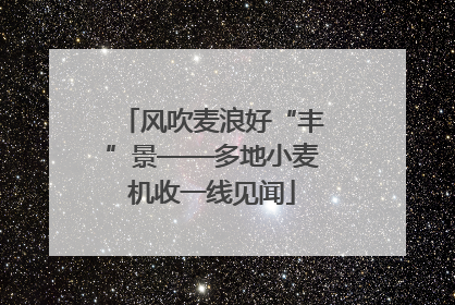风吹麦浪好“丰”景——多地小麦机收一线见闻