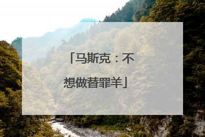 马斯克：不想做替罪羊