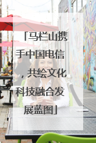 马栏山携手中国电信，共绘文化科技融合发展蓝图